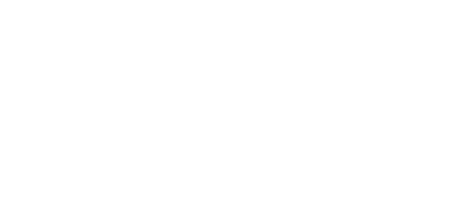 Macias Logistics